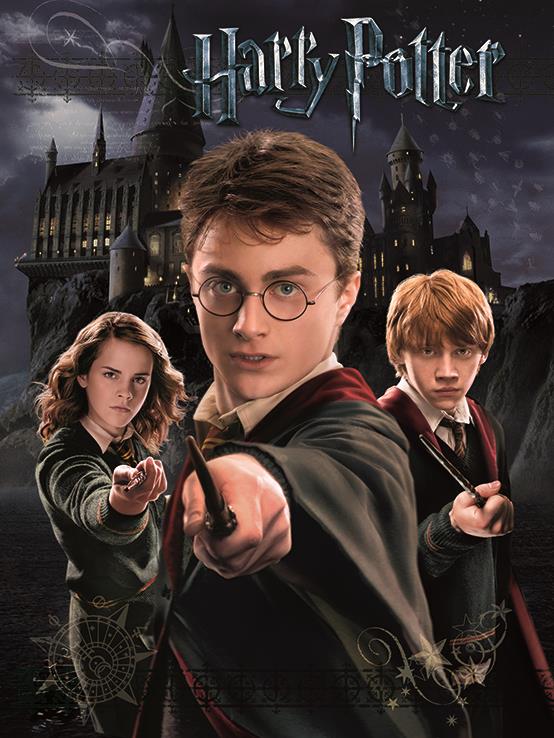 Quadro - Stampa Su Tela - Harry Potter - Harry Ron Hermione (40 x 50 c –  Primafila Store