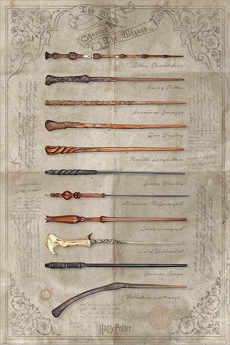 Poster - Harry Potter - The Wand Chooses The Wizard (Poster 61X91,5 Cm – Primafila  Store