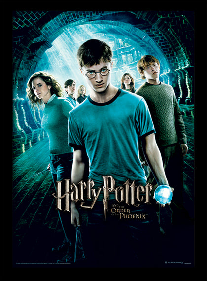 Quadro - Harry Potter - Order Of The Phoenix (Stampa In Cornice 30X40 Cm)