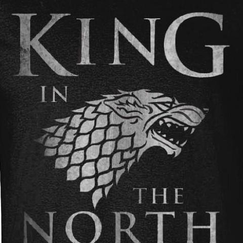 T-Shirt - Game Of Thrones - King In The North