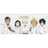 TAZZA - THE PROMISED NEVERLAND - TAZZA 320ML - ORPHANS LINEUP