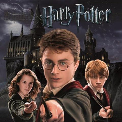 Quadro - Stampa Su Tela - Harry Potter - Harry Ron Hermione (40 x 50 cm)